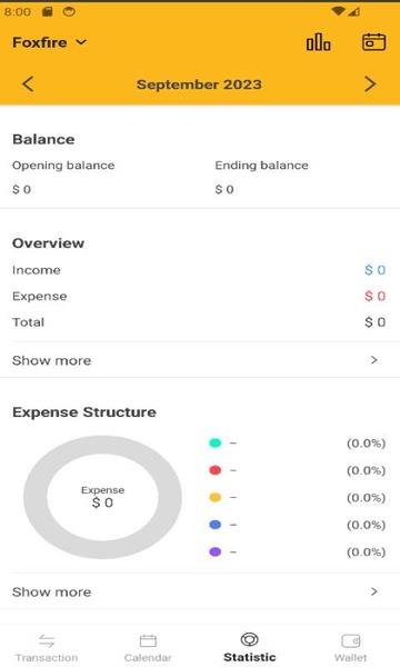 Manage your Money captura de pantalla 2