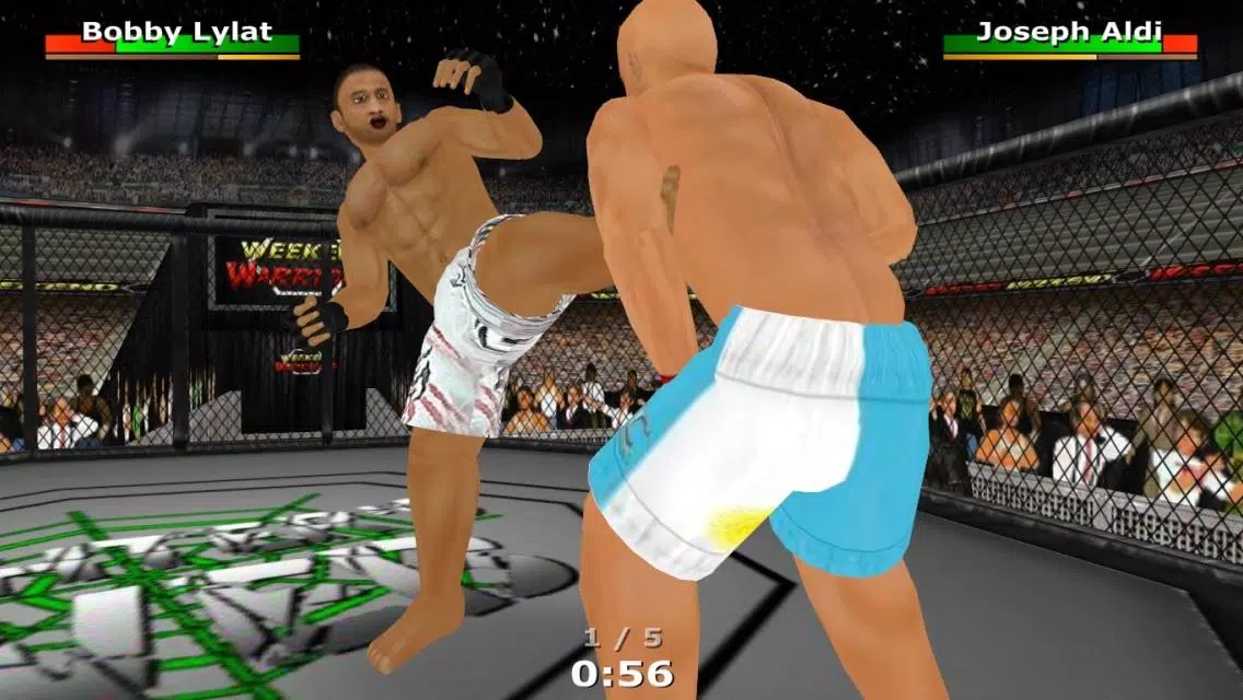 Weekend Warriors MMA Screenshot 1