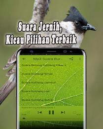 Suara Burung Kutilang Offline Captura de pantalla 4