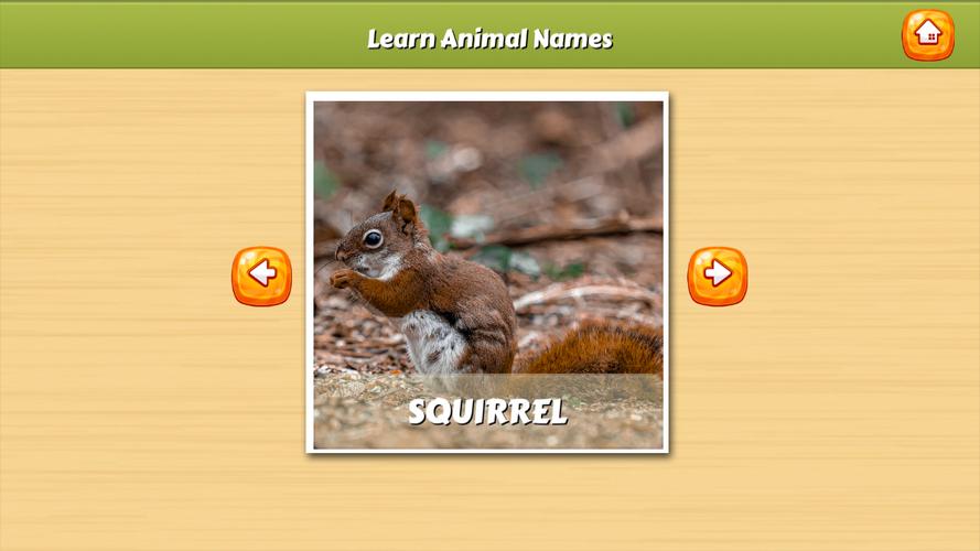 Learn Animal Names Capture d’écran1
