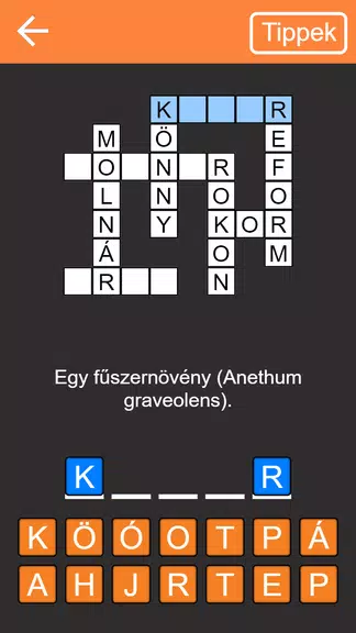 Keresztrejtvény屏幕截圖1