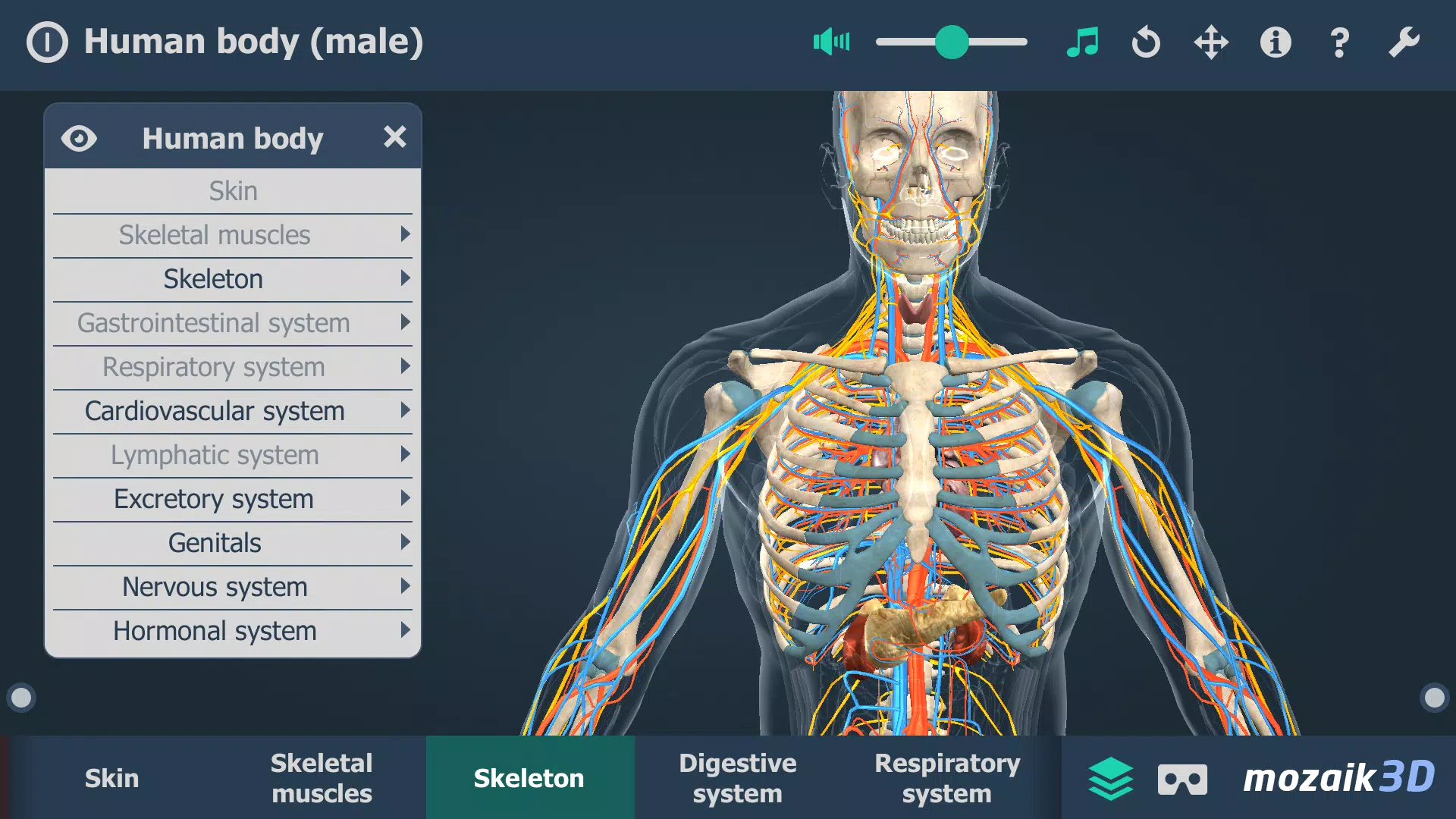 Human body (male) 3D scene экрана 4