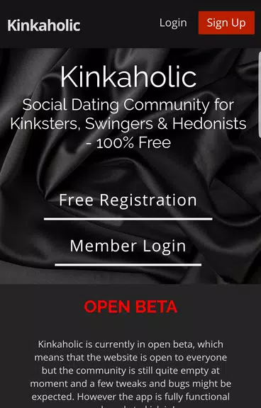 Kinkaholic Capture d’écran1