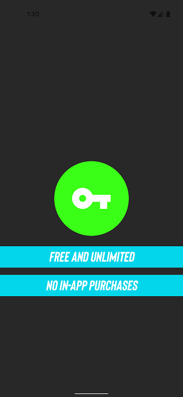 ภาพหน้าจอ Free VPN Services .org 3
