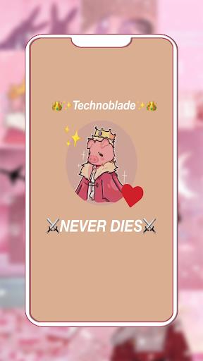 Screenshot Technoblade Wallpaper 2