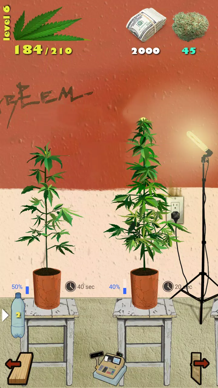 Weed Firm ảnh chụp màn hình 2