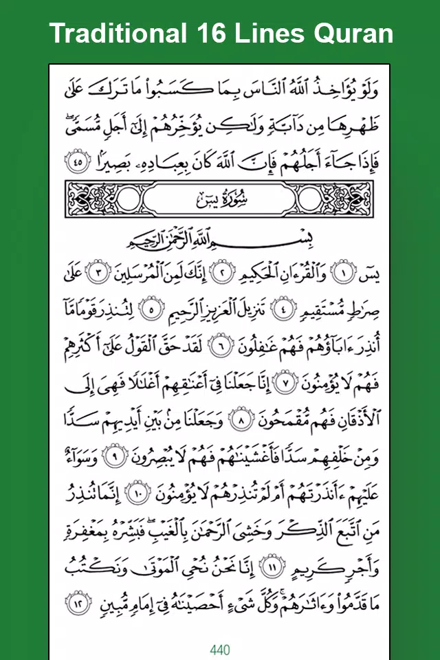 Easy Quran Mp3 Audio Offline Screenshot 3