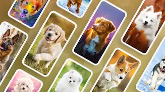 Dog Wallpapers & Puppy 4K屏幕截圖1