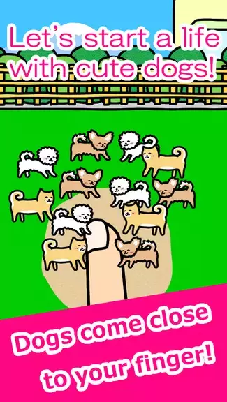 Play with Dogs - relaxing game Capture d’écran1