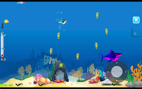 Shark: Big Fish Eat Small Game Screenshot 3