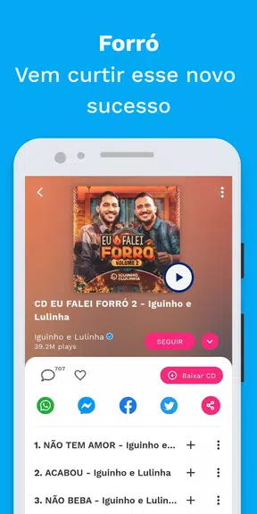 Sua Música: Hits do Nordeste экрана 2