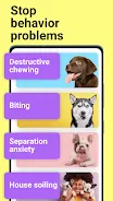 Dog whistle & training app screenshot 4