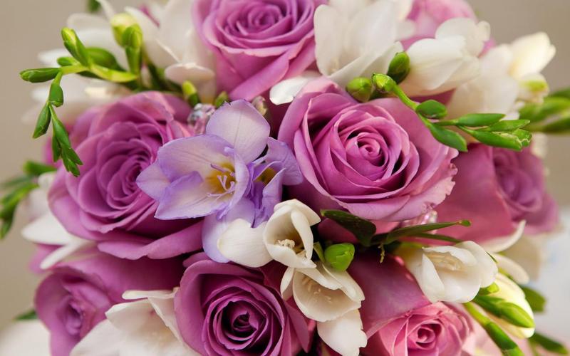 Roses Jigsaw Puzzles屏幕截圖2