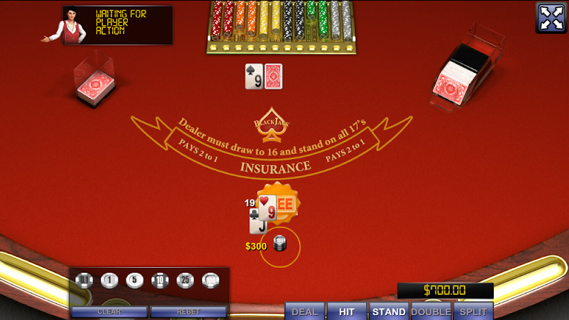 BLACK JACK Screenshot 2