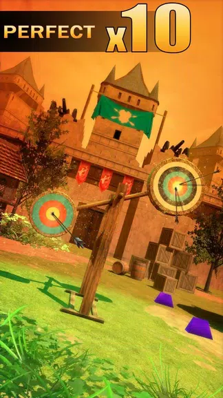 Archery Shooting屏幕截圖1