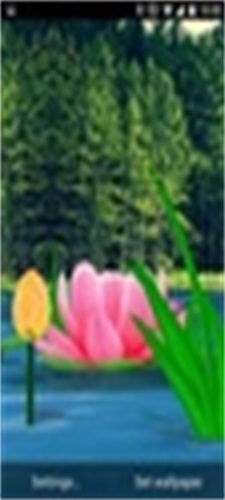 Flower Live Wallpaper 3D zrzut ekranu 2