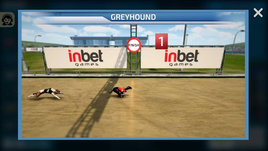 Dogs3D Races Betting screenshot 4