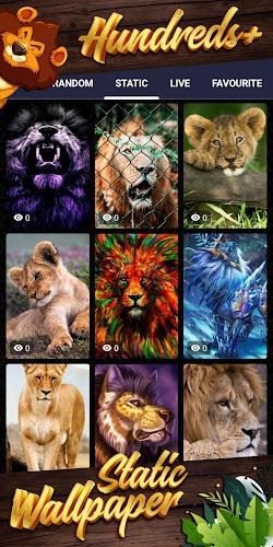 lion backgroundスクリーンショット4