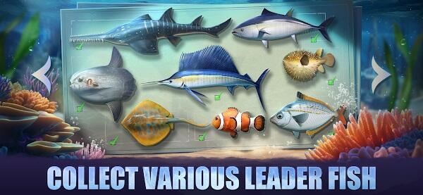 Top Fish: Ocean Game ảnh chụp màn hình 3