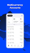 Screenshot Wirepay - Global Payments 1