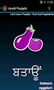 Punjabi Alphabet Amrit Punjabi screenshot 4