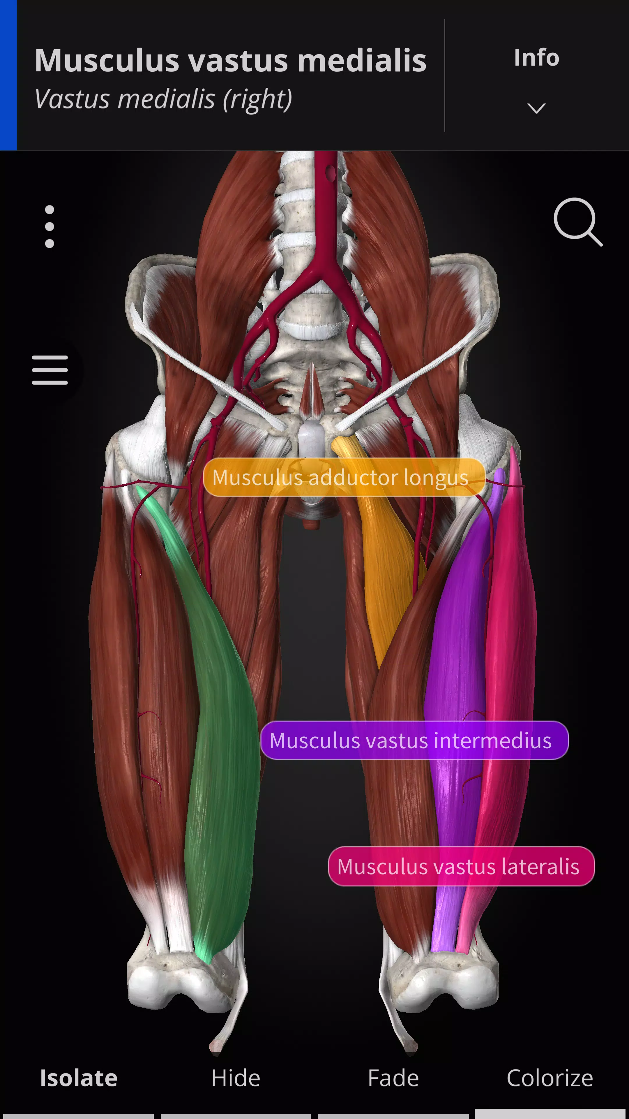 Anatomyka - 3D Anatomy Atlas ảnh chụp màn hình 2