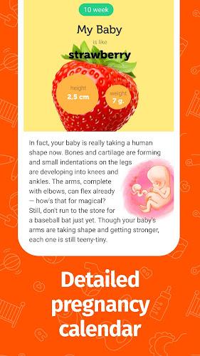 Pregnancy App and Baby Tracker屏幕截圖3