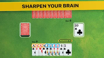 Gin Rummy * screenshot 4