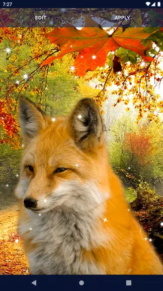Parallax Nature Live Wallpaper ảnh chụp màn hình 4