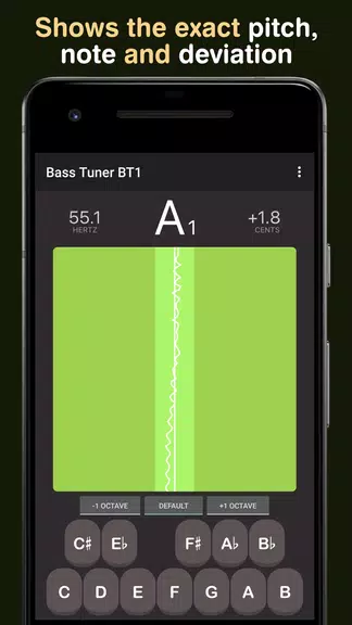 Bass Tuner BT1屏幕截圖2