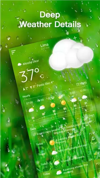 Live Weather Forecast Screenshot 3