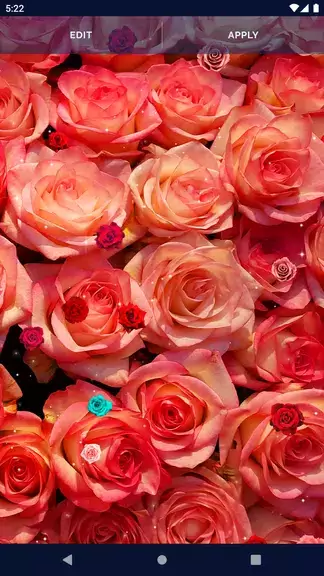 ภาพหน้าจอ Red Rose 4K Live Wallpaper 4