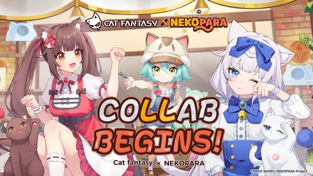 Baker Ekibi, Cat Fantasy x Nekopara Collab'da 