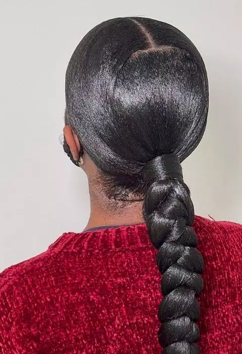 Sleek Braided Ponytail Styles Capture d’écran3