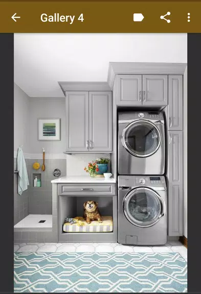 Laundry Room Organization captura de pantalla 3