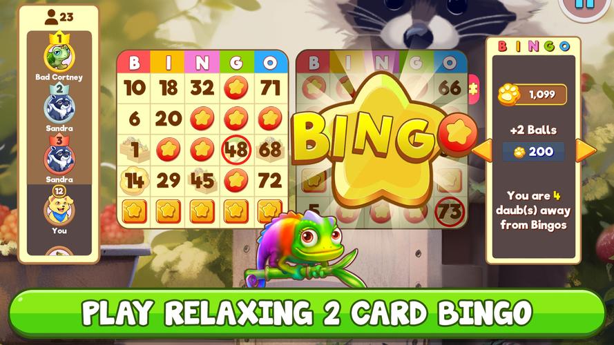Bingo:  Free the Pets captura de pantalla 2