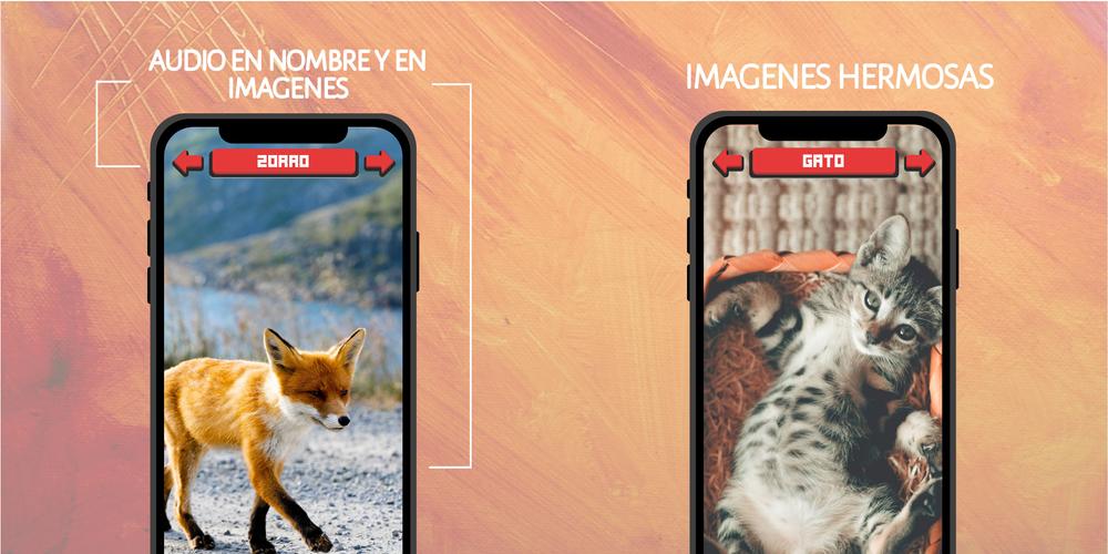 Animales: Sonidos e Imágenes Screenshot 3