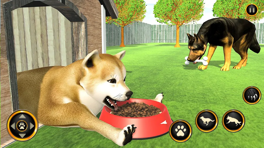 Dog Life Dog Simulator Games 스크린샷 3