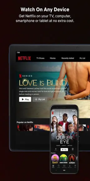 Screenshot Netflix Premium Unlocked 2
