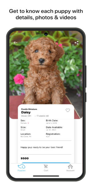 Lancaster Puppies应用截图第1张