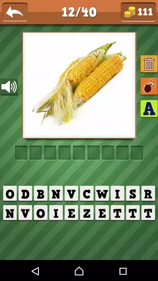 Screenshot Vegetables Quiz 2