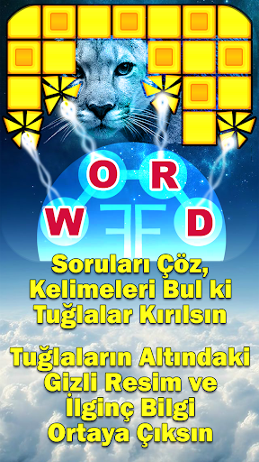 Word Fun Fact (WFF) Word Games zrzut ekranu 3