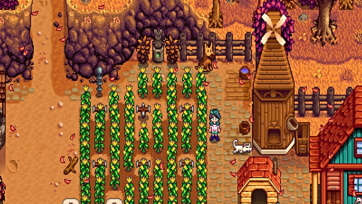 Chấp nhận nhiều người bạn đồng hành trong Stardew Valley