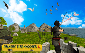 Bird Hunting Mania স্ক্রিনশট 3