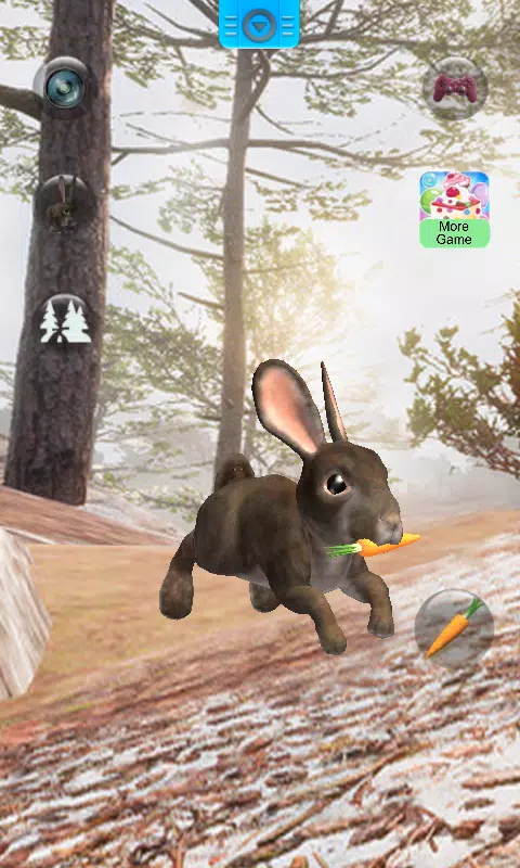 Talking Rabbit Screenshot 2