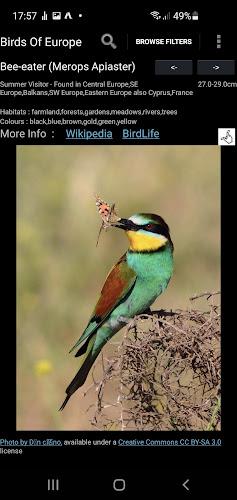 Birds Of Europe Guide 스크린샷 3