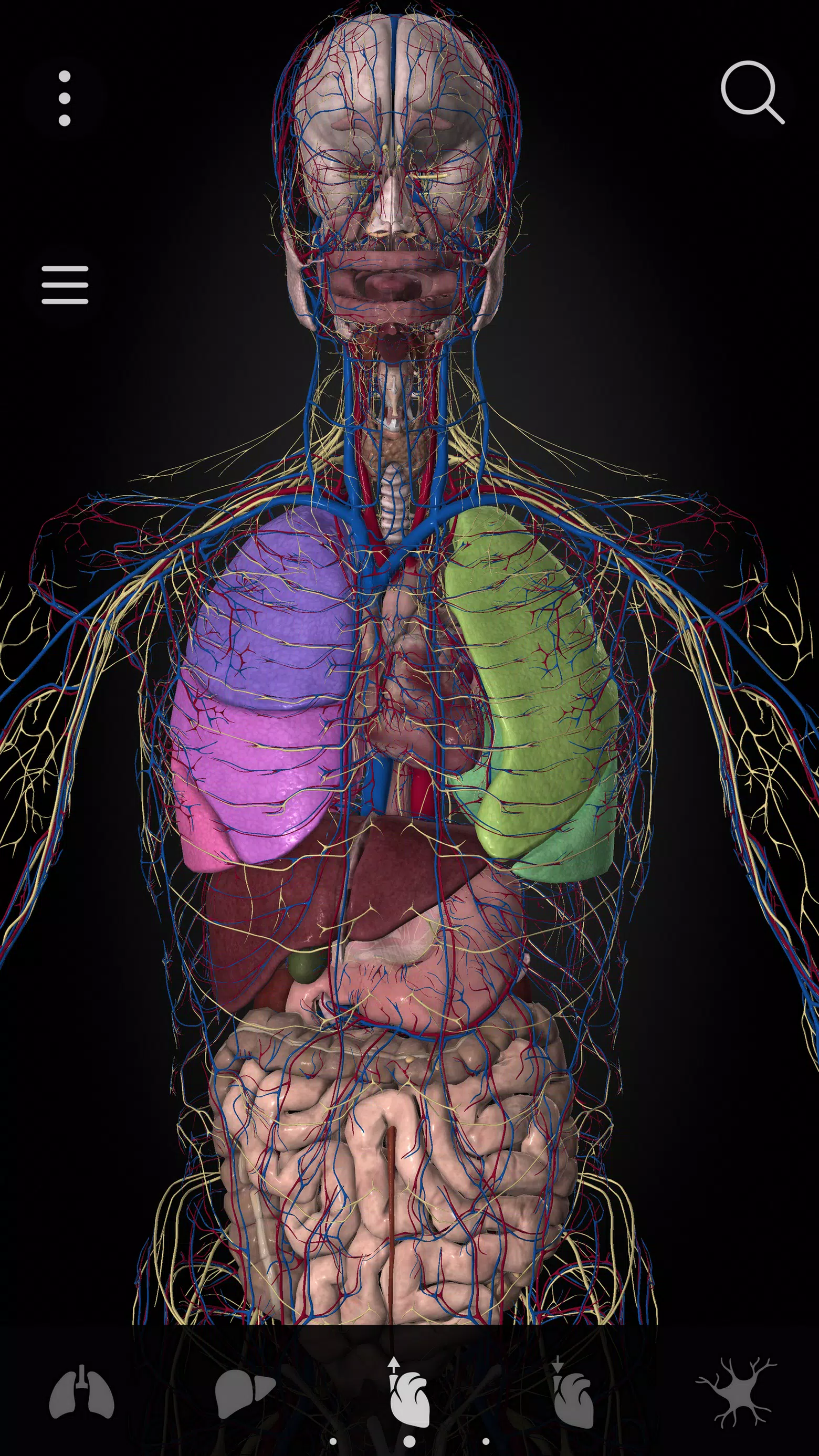Anatomyka - 3D Anatomy Atlas ảnh chụp màn hình 3