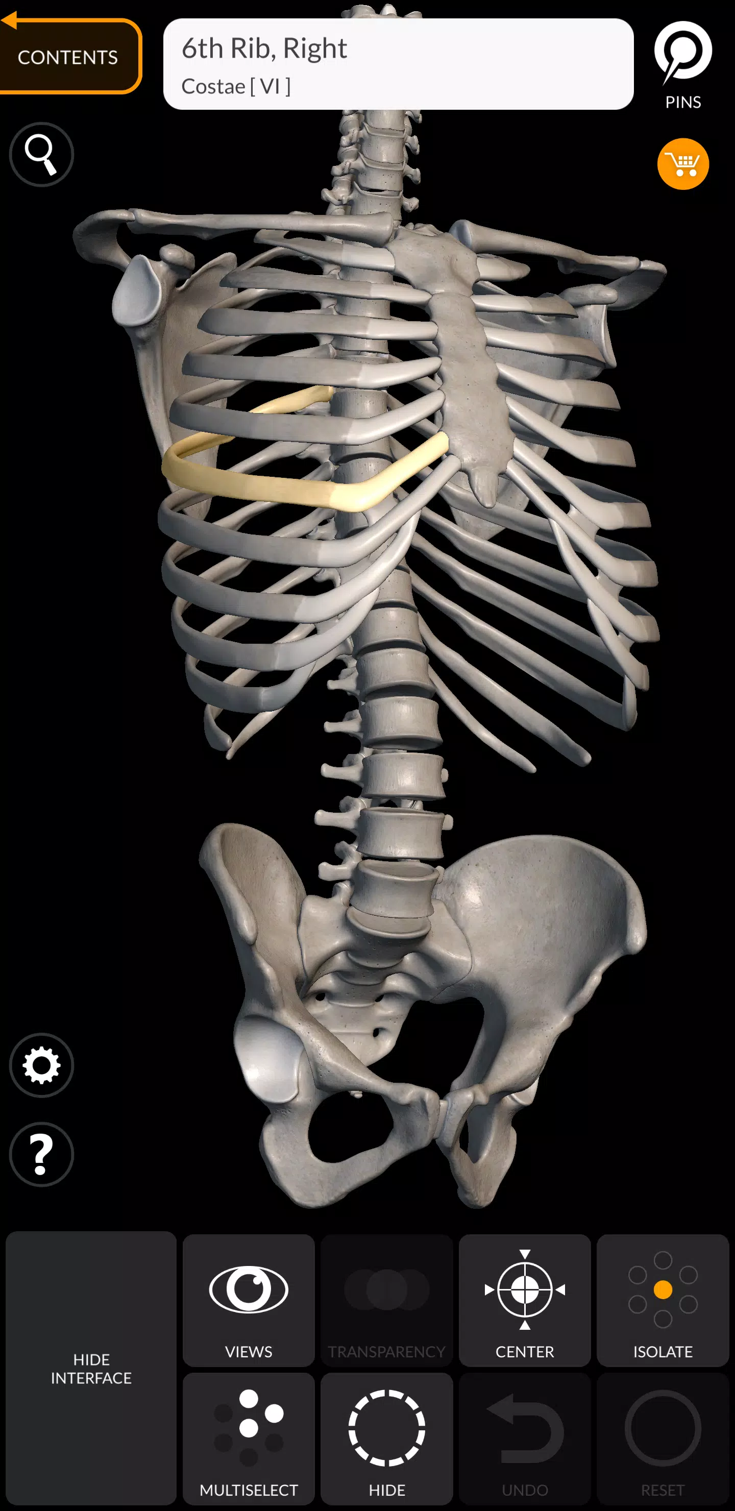 Schermata Skeleton 1