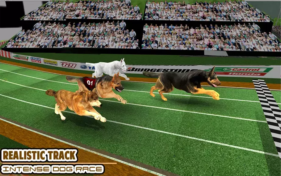 Dog racing games - dog game 3d স্ক্রিনশট 1