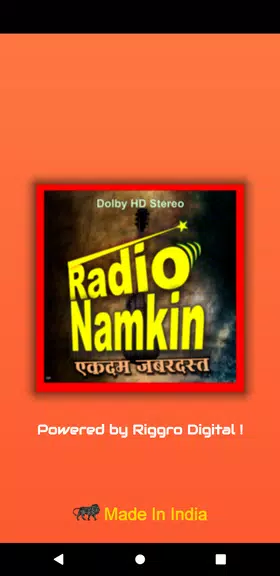 Radio Namkeen- FM Radio Online屏幕截圖1